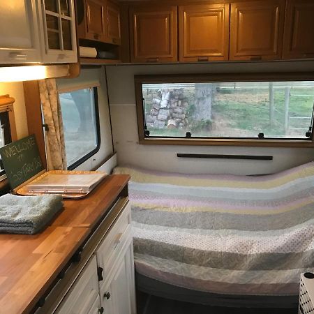 Tureby Bed & Breakfast 5 Min From E47 - Dogs Welcome - Cosy Farm Bnb מראה חיצוני תמונה