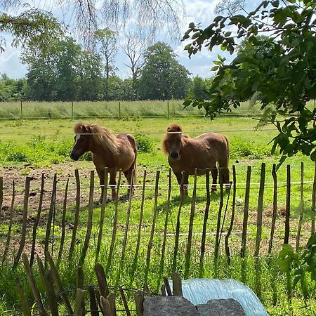 Tureby Bed & Breakfast 5 Min From E47 - Dogs Welcome - Cosy Farm Bnb מראה חיצוני תמונה