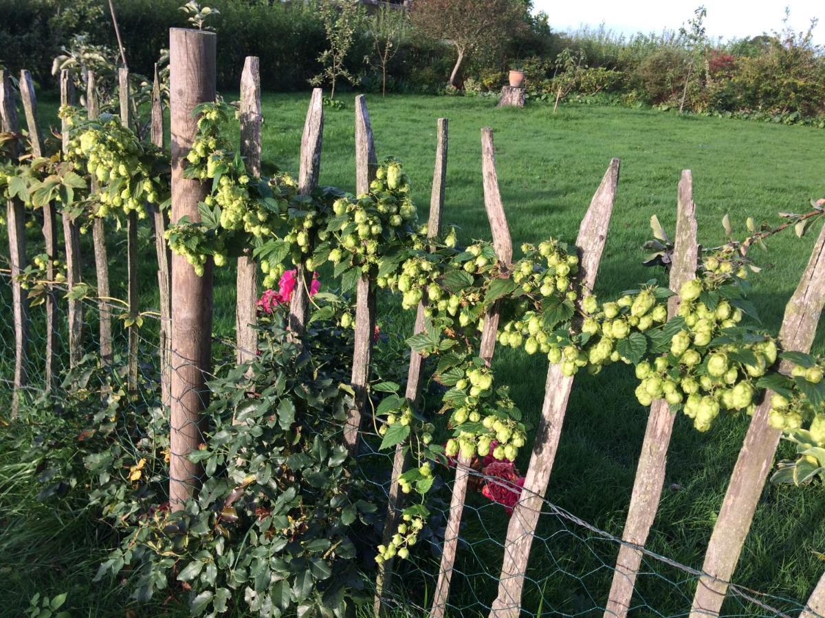 Tureby Bed & Breakfast 5 Min From E47 - Dogs Welcome - Cosy Farm Bnb מראה חיצוני תמונה