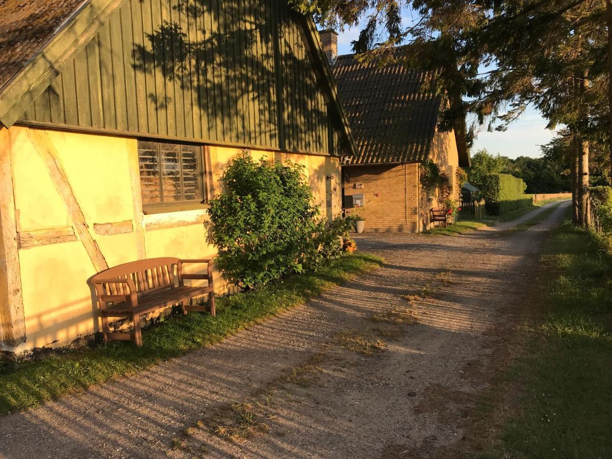Tureby Bed & Breakfast 5 Min From E47 - Dogs Welcome - Cosy Farm Bnb מראה חיצוני תמונה