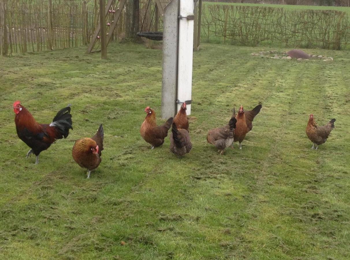 Tureby Bed & Breakfast 5 Min From E47 - Dogs Welcome - Cosy Farm Bnb מראה חיצוני תמונה