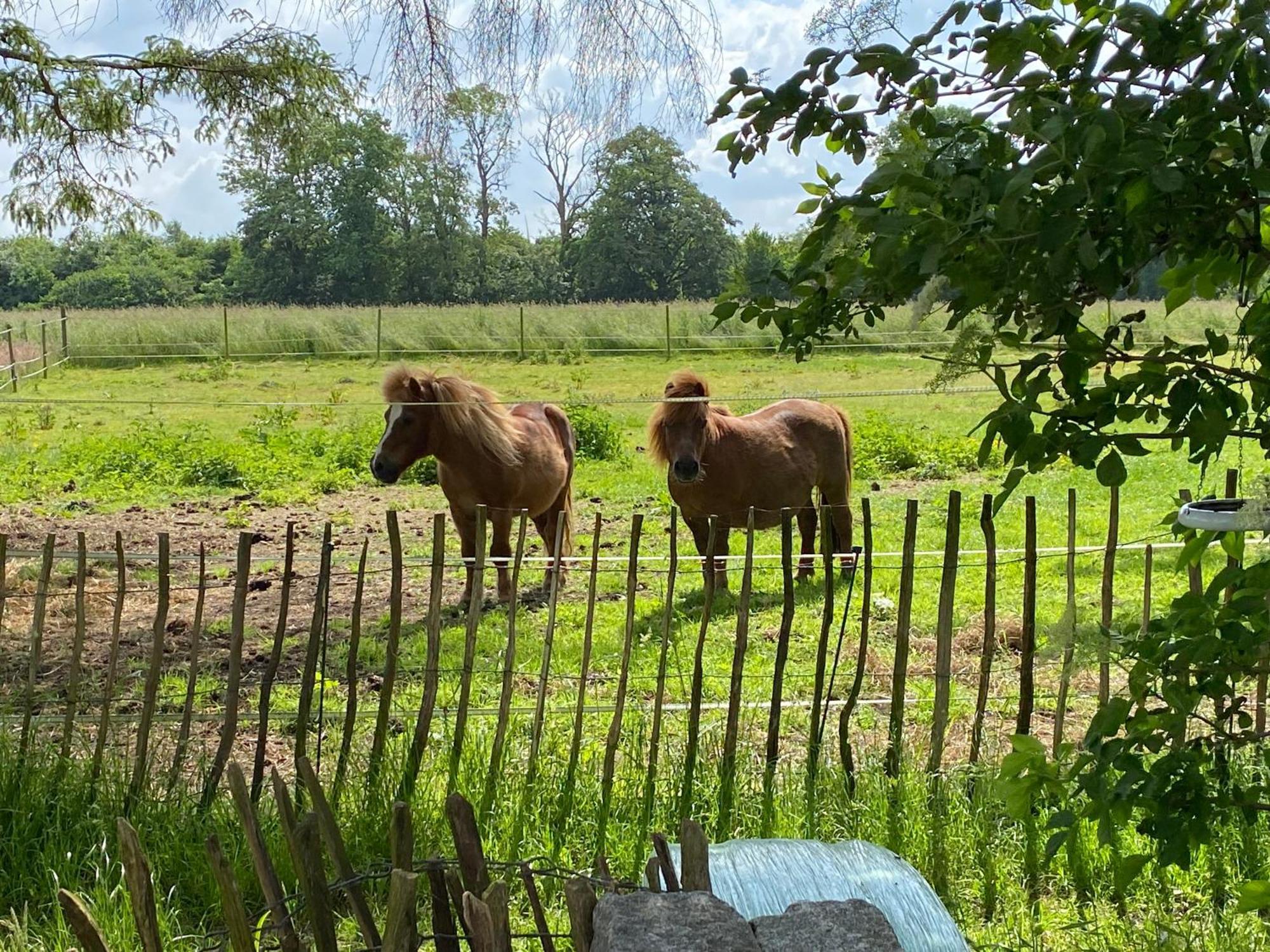 Tureby Bed & Breakfast 5 Min From E47 - Dogs Welcome - Cosy Farm Bnb מראה חיצוני תמונה